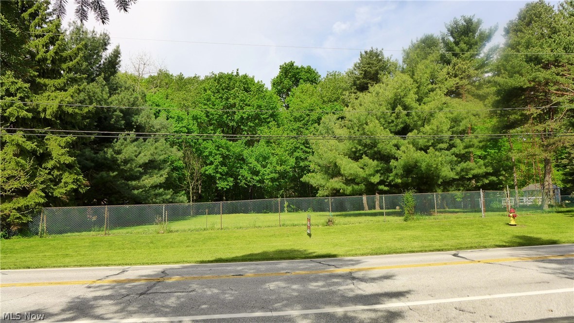 Fantastic Lot to Build Your Own Home on Painesville Townships very western edge!  Protected wooded views in back yard and within 3 minutes drive to Target, Aldi's, Lowe's, Menard's and more!  All Utilities available, Dominion East Ohio Gas, First Energy Electric and Lake County Utilities for Sewer and Aqua Ohio for Water.  Fenced on all four sides and natural privacy barriers offer space from neighbors.  Call Listing Agent for list of Builders and to see model home designs!