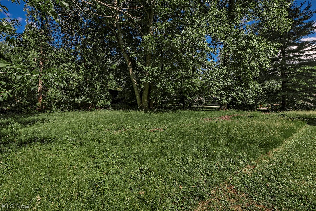 Chagrin Heights - Residential