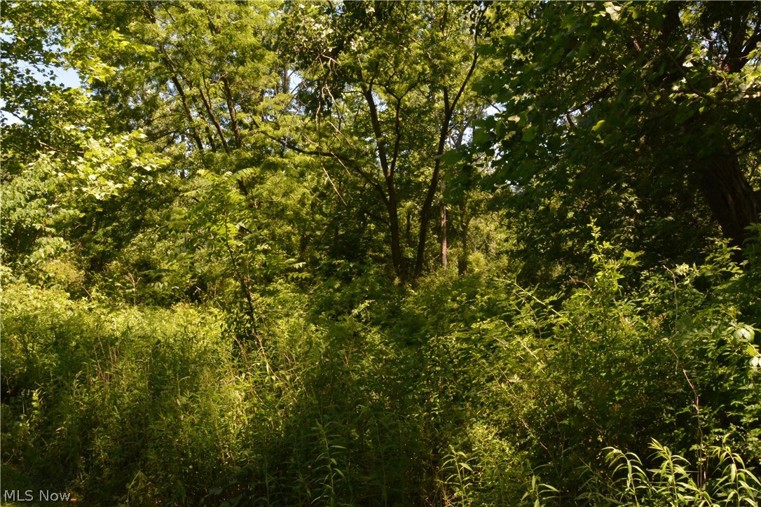 North Chesterland Privacy! This Beautiful 1.65 Acre Wooded Lot Is Ready For Your Dream Home. This Piece of Paradise Includes a Pond View, Abuts the East Branch of the Chagrin River and a 23 Acre Geauga County Nature Preserve. Award Winning West Geauga Schools.