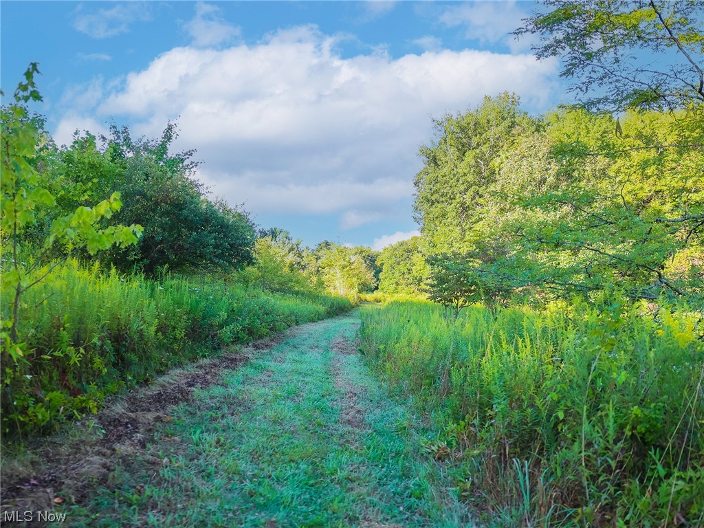 3600 - Land