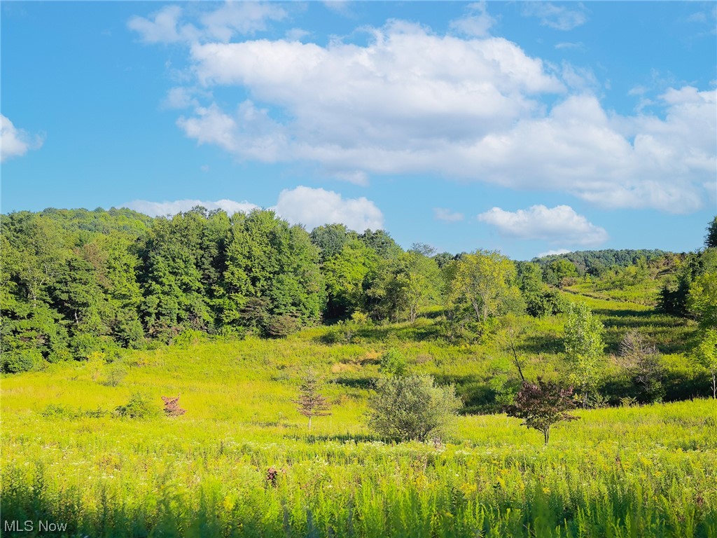 3600 - Land