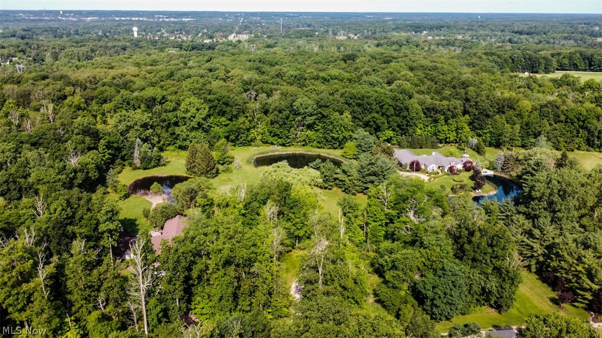 Pine Hill - Land