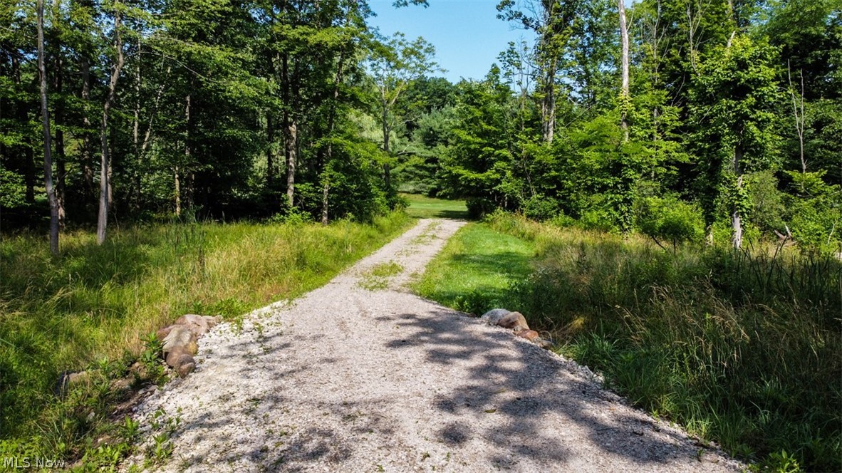Pine Hill - Land