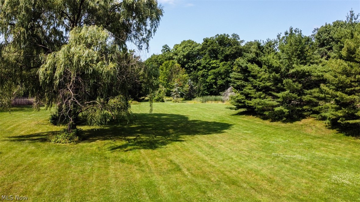 Pine Hill - Land
