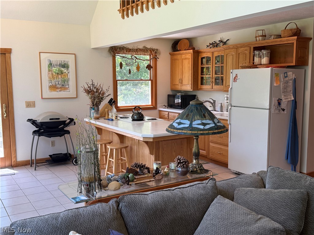 LAKE BUCKHORN - Residential