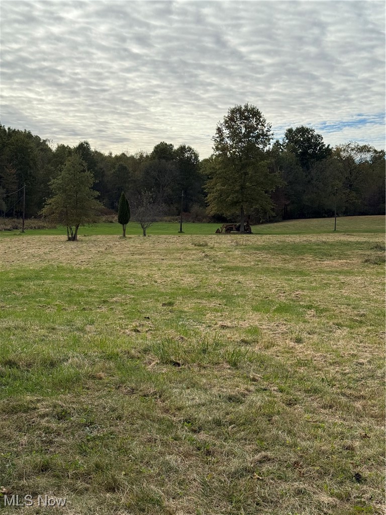 Looking to build in beautiful, peaceful and quaint Vienna? The winding asphalt driveway will lead you to what could be your future dream home! This one and a half acre lot has electric hookup, public sewer, private well, and the option to tie into city water. Don't miss out on the opportunity to turn your building dreams into reality!
Buyer is responsible for obtaining zoning and building requirements.