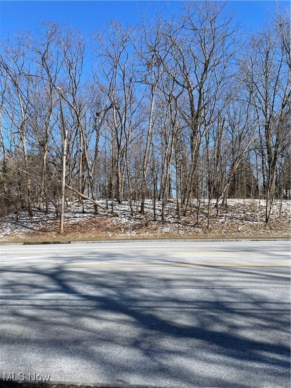 Original Willoughby Township 10 - Land