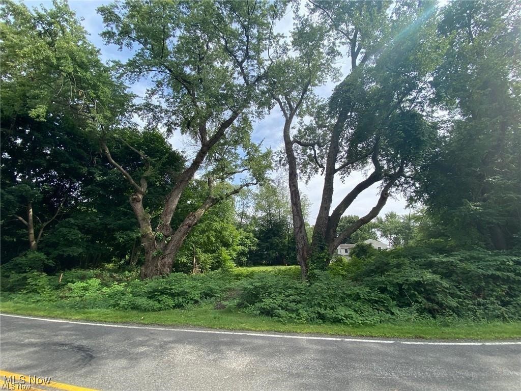 Location Location! Affordable building lot in the heart of Portage Lakes. This level lot is just a short walk to the Portage Lakes and the Portage Lakes restaurant district.  Also convenient highway access.  This lot one had a home on it so utilities are available at the street.  These include gas, electric, phone, cable, and sewer.  The owner had cleared a house site and includes a new survey recently completed. There is already an existing sewer lateral for Summit County sewer on the property so the fee to connect to sewer will only be $211.oo. This lot does not have an HOA so bring your own builder and park your boat in your own driveway. There is a vacant lot on each side that is also available.  Buy all 3 lots and have .75 acre lot to build on. Build now or buy and hold and have a prime parking spot for your boat this summer.