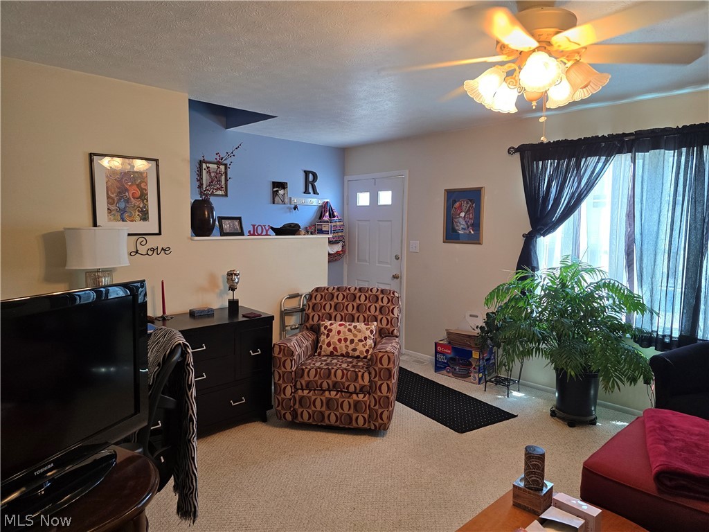 Willow Terrace Condo - Residential