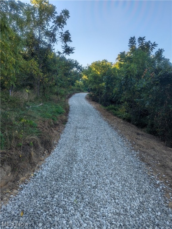 Discover your own piece of paradise in the heart of nature's beauty with this exceptional 65-acre hunting property. Abundant wildlife, food plots, and well-maintained trails make it a perfect spot for hunting and recreational. Additionally, the mature trees here hold substantial timber potential, presenting a unique investment opportunity. Don't let this remarkable property slip away - call us today to schedule a showing!