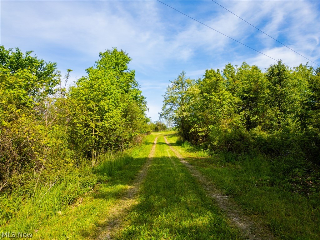 Check out this beautiful building lot in the highly desirable Tri-Valley Local School District. Located in the countryside with a peaceful rural setting, this property offers the best of both privacy and seclusion while still being conveniently close to town and other everyday amenities. The property features a nice established driveway for easy access and a recently cleared trail that runs through the land, making it easy to explore everything this tract has to offer. A great mix of open ground and wooded acreage creates multiple possibilities for a future home site, recreational use, or weekend getaway. Toward the back of the property you’ll find mature timber and excellent wildlife habitat, offering outstanding hunting and outdoor opportunities right on your own land. Whether you’re looking to build your dream home, enjoy a recreational retreat, or invest in a quality piece of property in a great area, this tract checks all the boxes. Beautiful setting, usable land, and excellent location don’t miss your chance to see this one for yourself. Schedule your showing today!