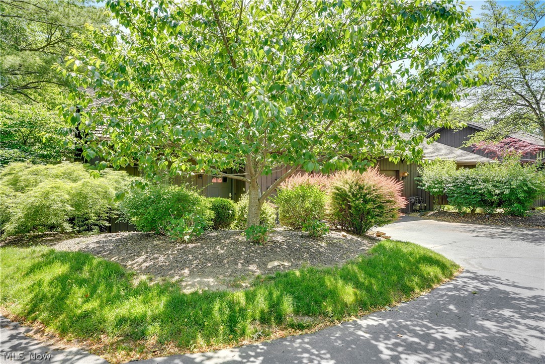 Meadows Walden - Residential