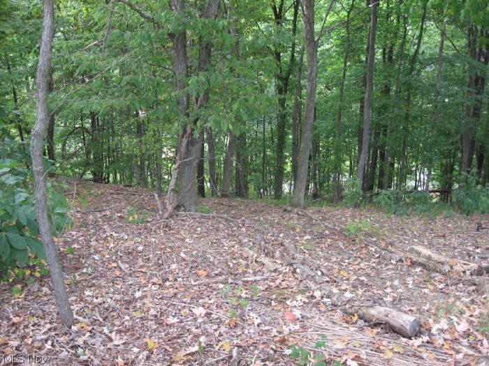 Lake Mohawk - Land