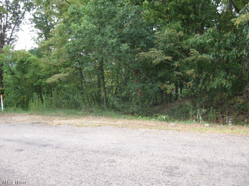 Lake Mohawk - Land