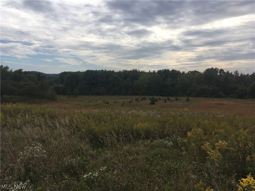 Public water and sewer possible.  37 acres +/-  ( subject to survey ).   Wooded vacant land with driveway leading to private setting.   Property has small pond.
50% mineral rights transfer to buyer.  402' frontage on St Rt 183.