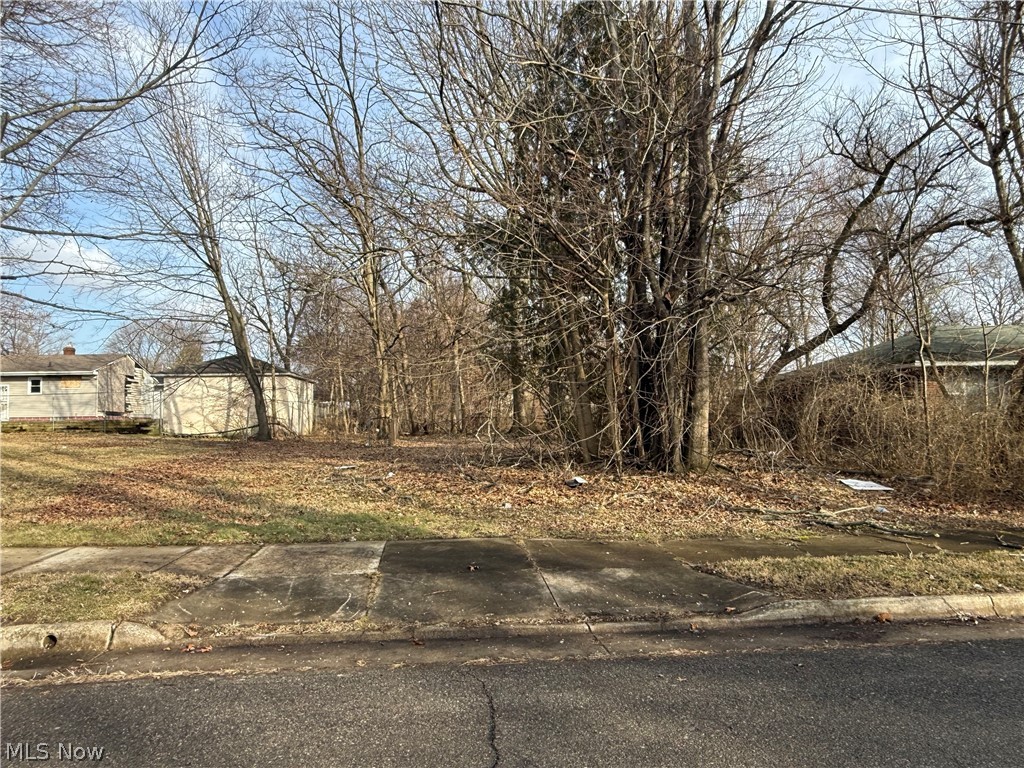 Lookout Heights - Land