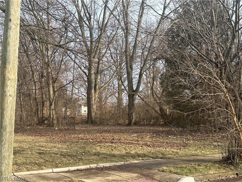 Lookout Heights - Land