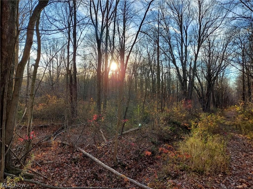 Great opportunity for a residential build! Three wooded lots (.1561 acres each) or .47 acre total, on beautiful
Magnolia Drive in Madison Township. Individual lots are 40'x170'. Paved road with existing houses on north side of the
street. $25,000 includes timber value. City water and sewer at the end of the street on Hubbard Road. Current homes
have septic and well. Lots are on existing paved street. 1/2 mile from Lake Erie, Madison Township Park, restaurants and
Vincent William Winery. Lots are three separate parcels, .46 acres each. Seller will combine parcels into one larger lot at
closing. Buyer is responsible for any approvals.