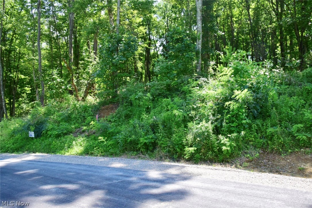 Corbin Drive - Land