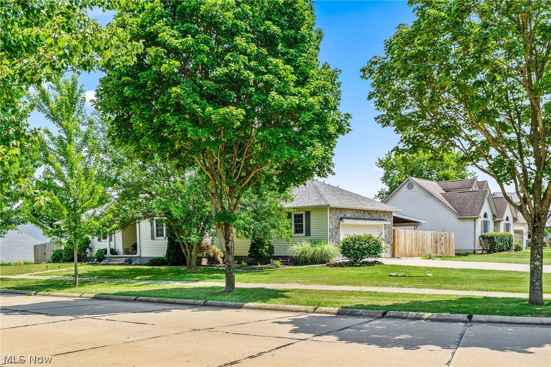 Meadows - Residential