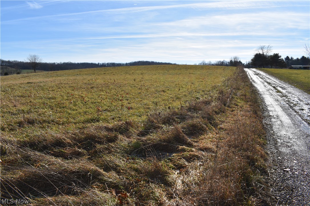 Beautiful, flat piece of property in a great location! Over 6 acres of land that has a well and septic.  The land does include a mobile home that is need of repairs.  Call for your private showing!