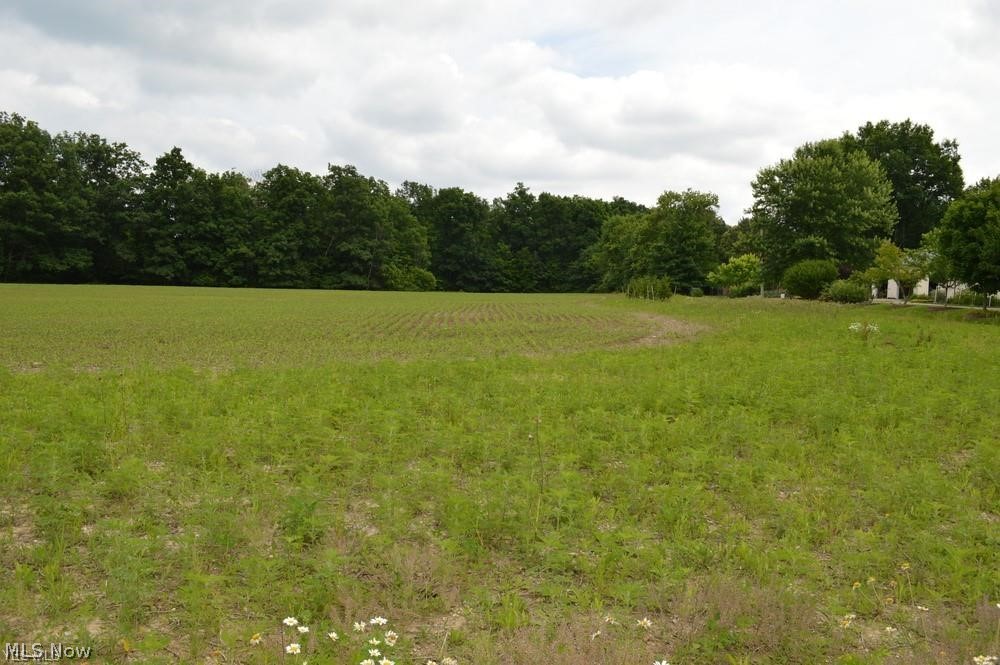 Rare find in Medina Twp!  Check out this beautiful vacant lot on Foote Rd featuring over 2.5 acres of already developed, buildable land.  Property backs up to the Rocky River and Lake Medina.  Close proximity to downtown Medina and 71.  Water, Sewer, Gas, and Electric available at the street. Homes exclusively build by Artisan Homes. 3 of the 7 lots have already sold, get this one before it is too late and start building your custom dream home today!