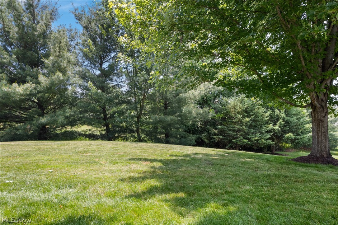 Forest Trail Allotment - Residential