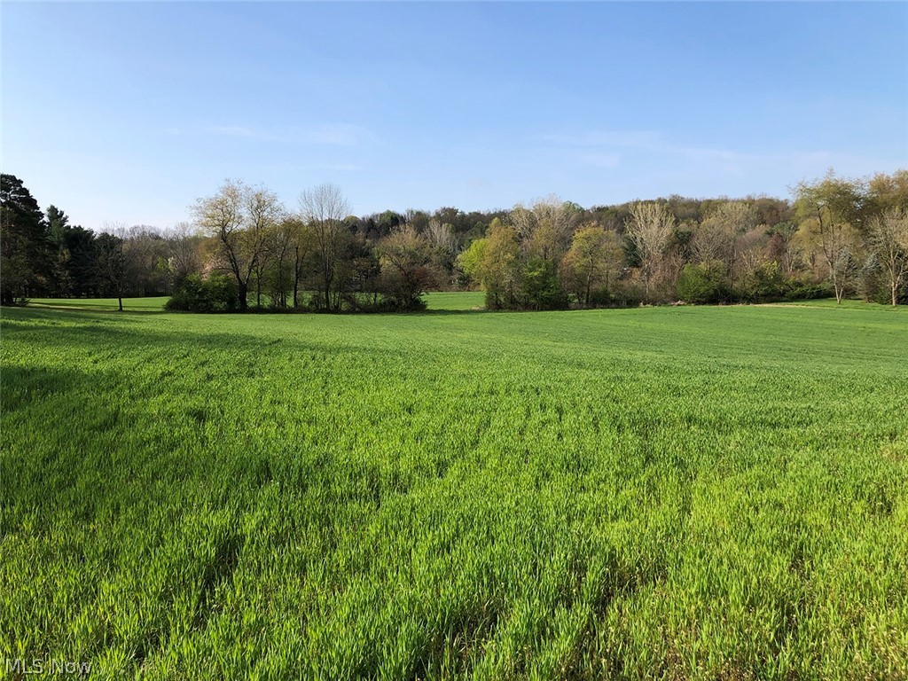 Nice 7.17-Acre Vacant Land - Gently Rolling W/ Tree Lines - Canal Fulton – Stark County – Northwest LSD - Live And Online Bidding Available - ABSOLUTE AUCTION, all sells to the highest bidder.  ONLINE BIDDING BEGINS MONDAY – MAY 17, 2021 – 11:00 AM and AUCTION LIVE ON-SITE BIDDING WILL BEGIN THURSDAY – MAY 20, 2021 – 1:00 PM. Real estate features nice 7.17-acre vacant land, approx. 297’ frontage on Portage St., approx. 1,049’ in depth. Gently rolling, tillable land with tree lines. Nice setting. Stark Co. parcel #9503025. Current half-year taxes $57.76. Walk this property at your convenience! Front zoned B-2, back zoned R-1. Better take a look! TERMS ON REAL ESTATE: 20% down auction day, balance due at closing. A 10% buyer’s premium will be added to the highest bid to establish the purchase price. Any desired inspections must be made prior to bidding. All information contained herein was derived from sources believed to be correct. Information is believed to be accurate but not guarant