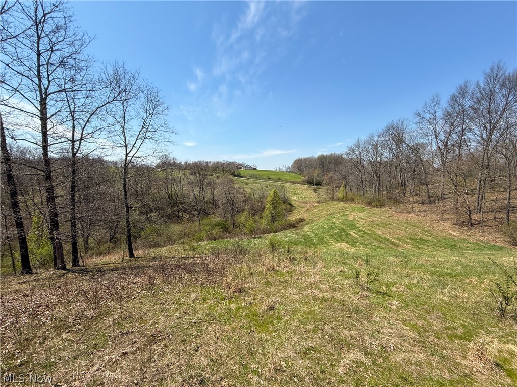 17+/-  acres for sale in Guernsey County, Ohio. Fantastic hunting property potential here. Lots of deer sign and in a great area for trophy whitetail hunting. 

Features of this property include:

- 17 +/- total acres
- Mix of wooded and open land
- Good cover for wildlife
- Couple of streams that cross the property
- Nice mix of oaks and other mast producing hardwoods 
- Great place for a cabin near the road 
- Electric and public water available at the road 
- Take advantage of the pipeline running the length of the property for food plots and access
- Minerals were previously reserved 
- Some trails 
- Varying topography 
- Great location 

Looking for an affordable hunting property then come take a look. This property may not last long. Annual taxes to be determined. Call today with any questions or to schedule a time to view the property.