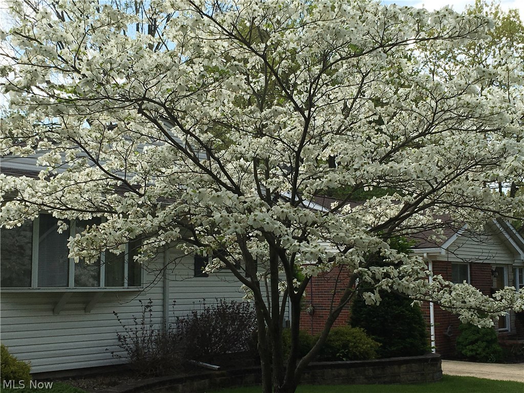 Mogadore Heights - Residential