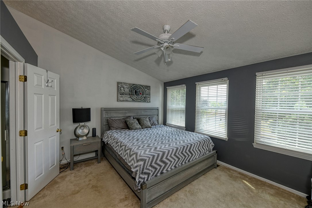 Springfield Terrace - Residential