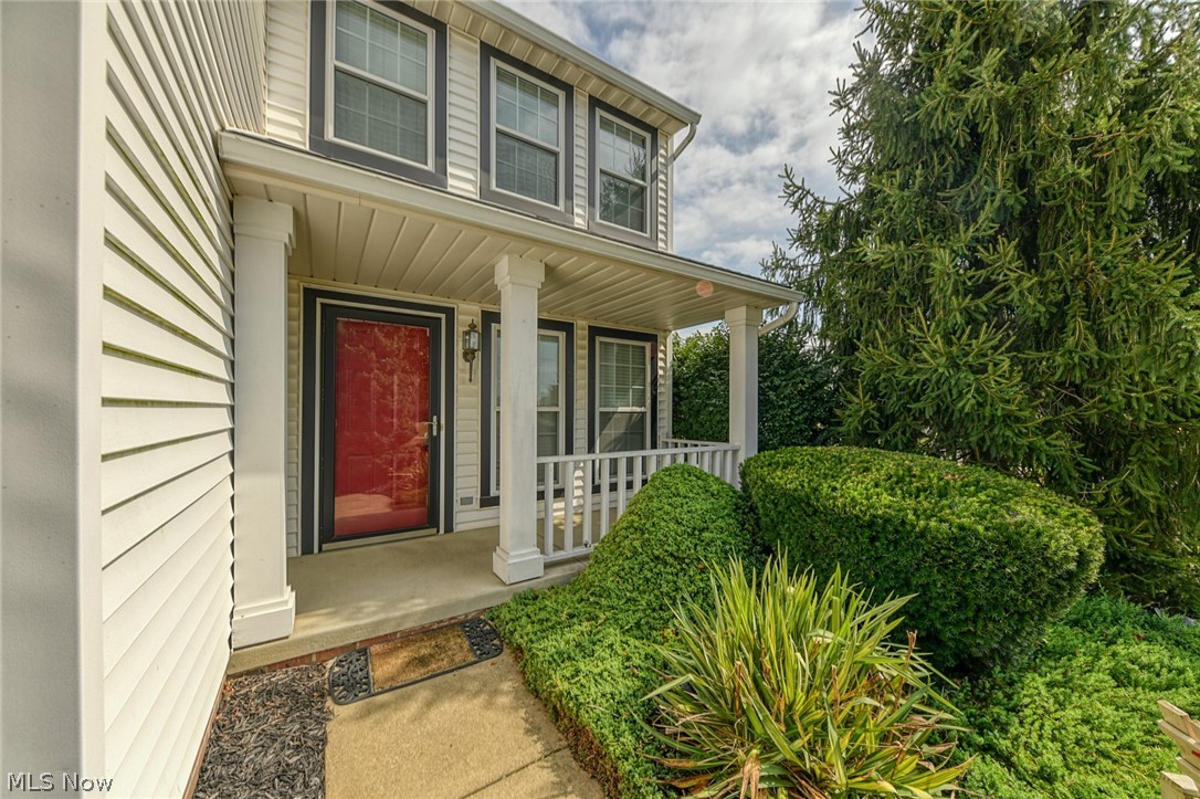 Springfield Terrace - Residential
