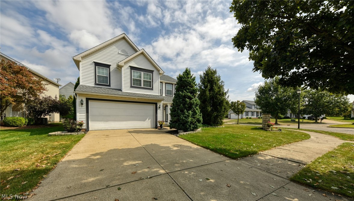 Springfield Terrace - Residential