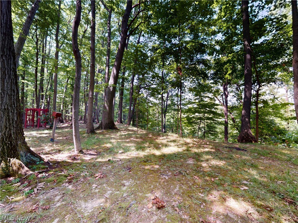 Painesville Warren Road - Residential