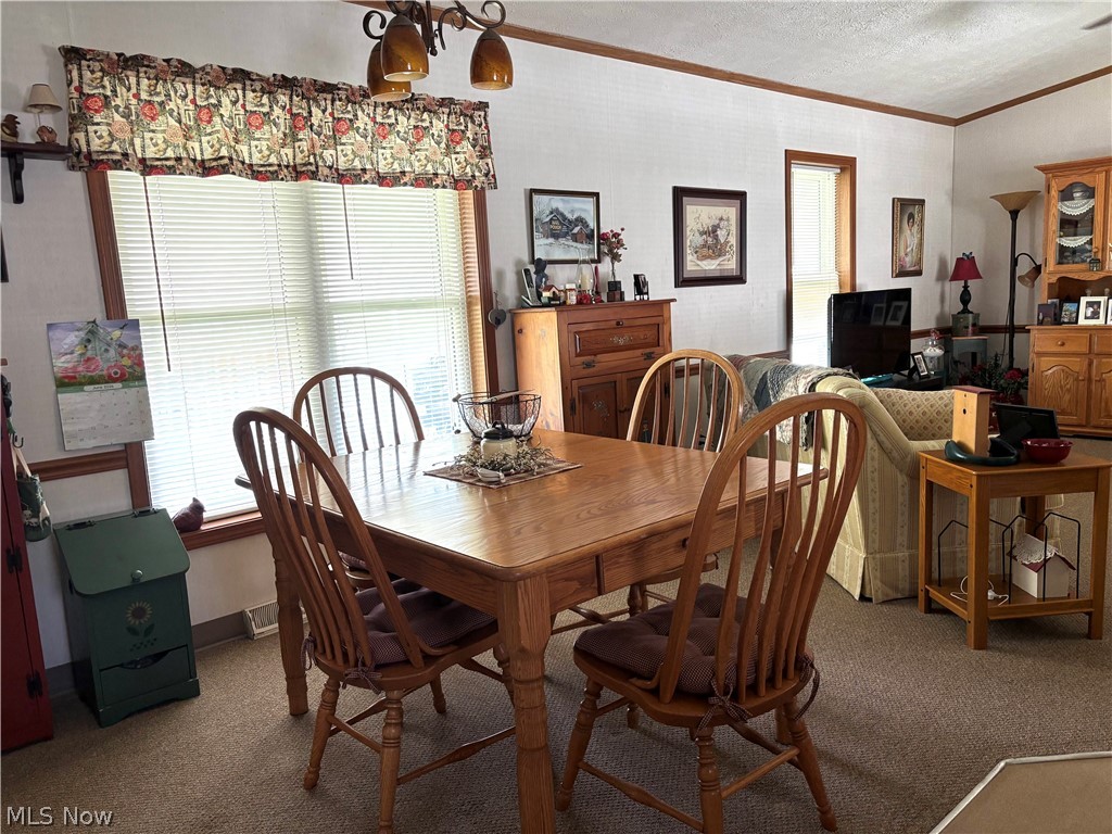 Southern Terrace - Residential