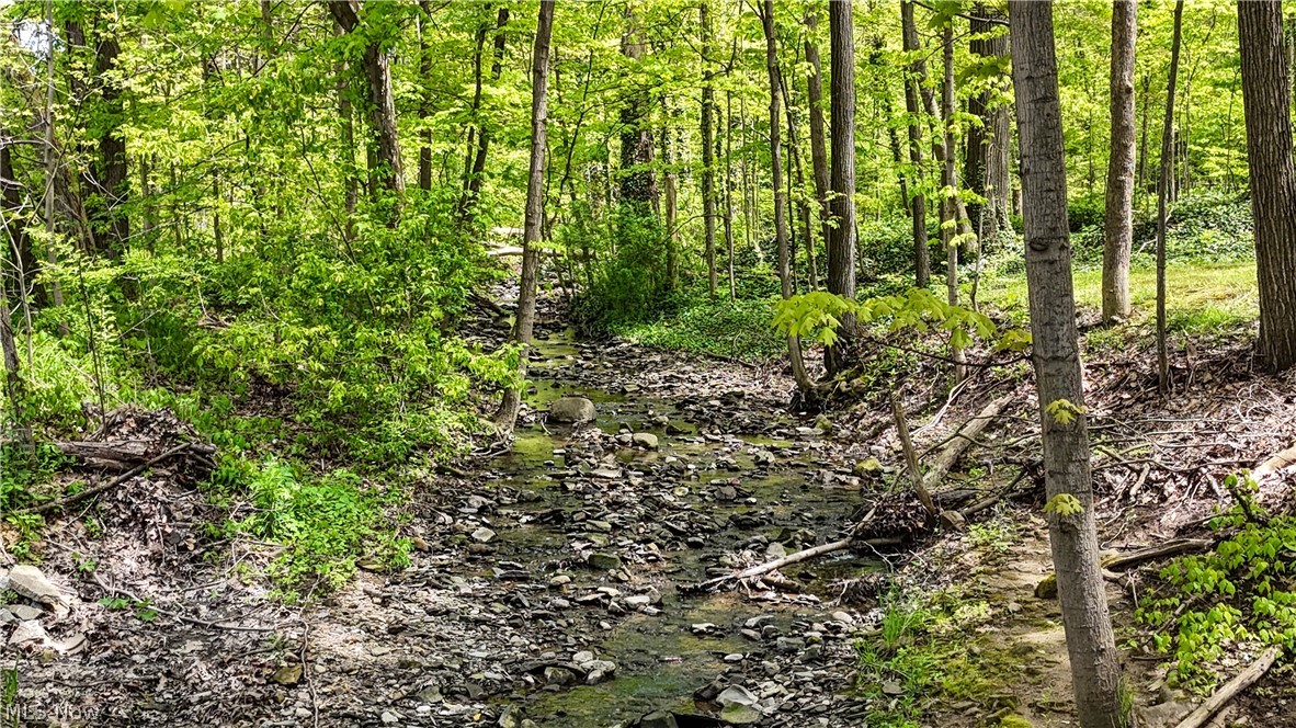 Park Circle Homesites - Residential