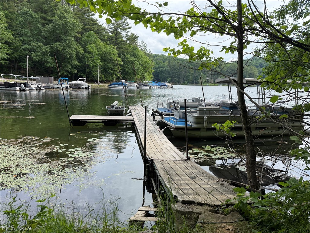 Lakeshore Park Allotment #1 - Residential