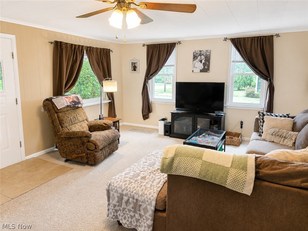 Village/East Canton - Residential