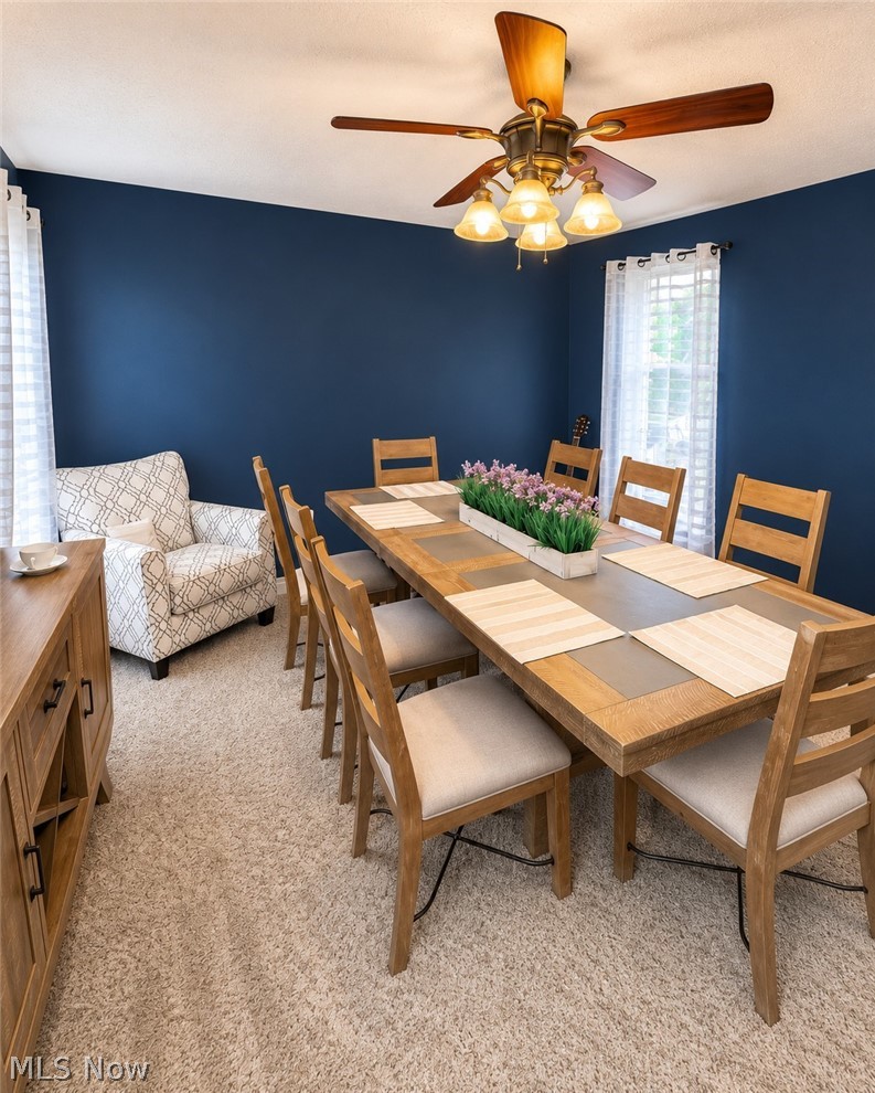 Village/East Canton - Residential