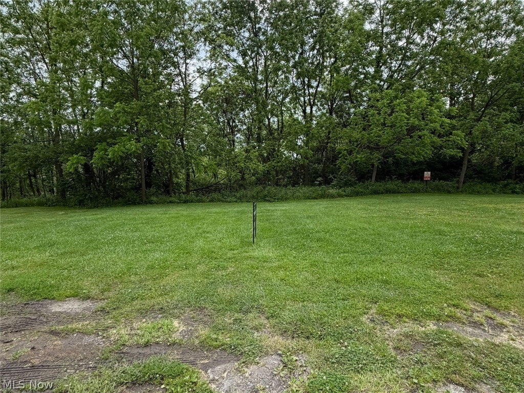 Vacant residential lot in Youngstown’s Brier Hill neighborhood with plenty of potential. Whether you’re looking to build, invest, or use it for seasonal parking during the popular Brier Hill Italian Fest, this cleared lot offers a lot of possibilities. Convenient location close to downtown Youngstown, major roads, and local amenities.