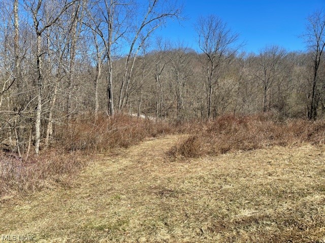 30.8 Acres with about 85% wooded. There is a gas well on the property. NO MINERALS. Kept by previous owners.