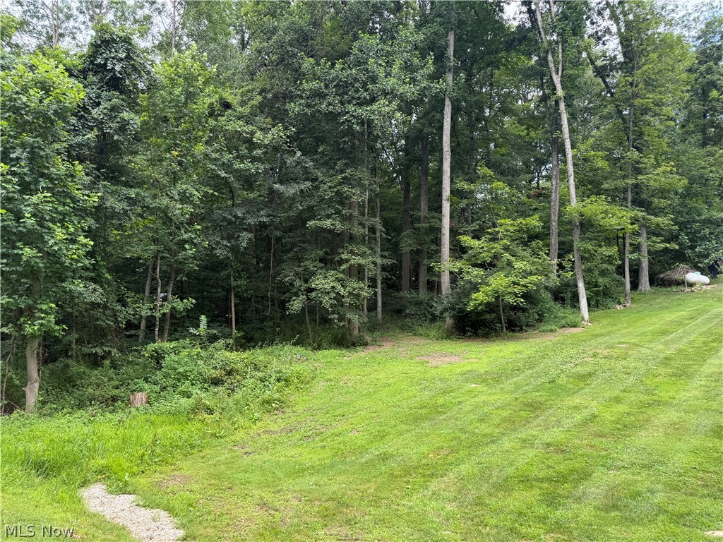 Lake Buckhorn - Residential