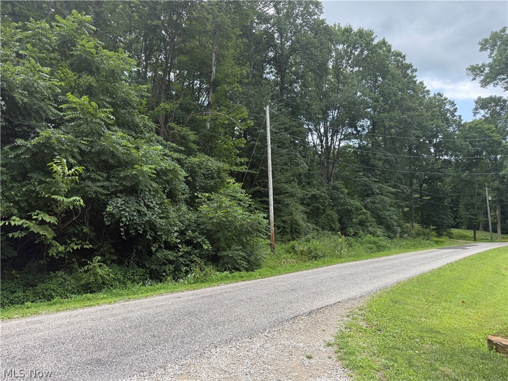 Lake Buckhorn - Residential