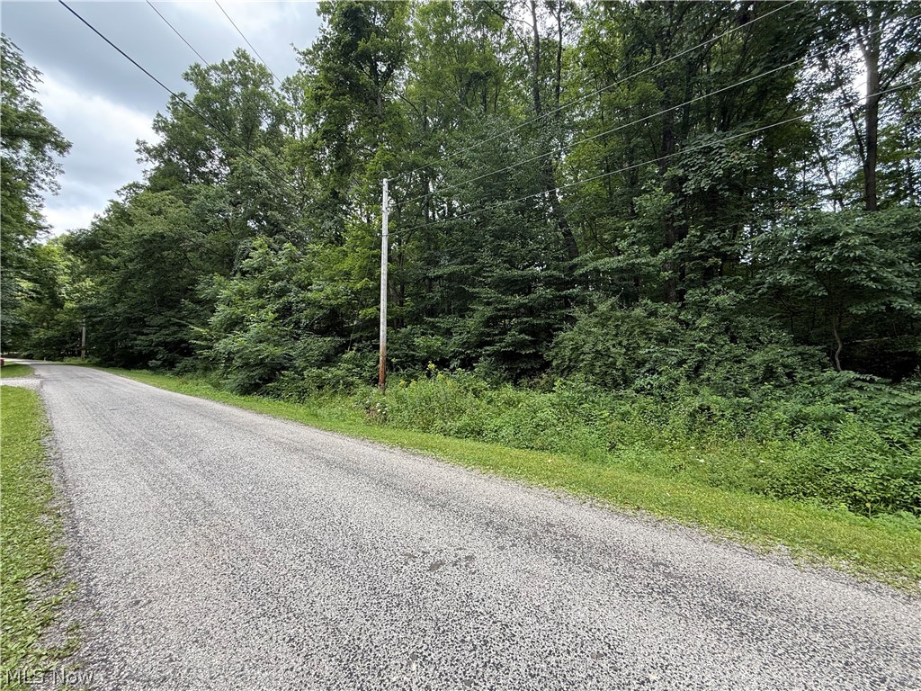 Lake Buckhorn - Residential