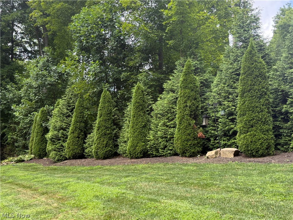 Lake Buckhorn - Residential