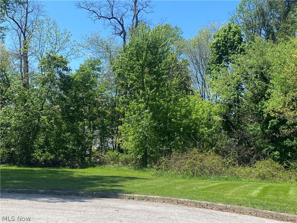 Looking to build your dream home AND SAVE ON TAXES!!  This building lot is available for a 15year tax abatement per the tax office in Salem... Public water and under ground electric service is provide on the cul-de-sac street. Partially wooded. Some restrictions on the home size and style.  Surveyed last year and lot ready for construction! Quite neighborhood.