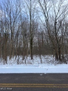 Ready for your new home or business site. just north of US 20. Great buildable lot waiting for your dream home or business to be built. Less than 10 minutes to SR 528 in Madison or 15 minutes to SR 534 in Geneva. Check with Geneva TWP Zoning for your building options.
