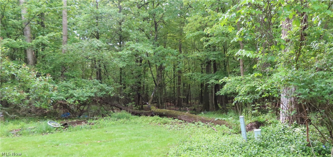 Lane Park - Residential