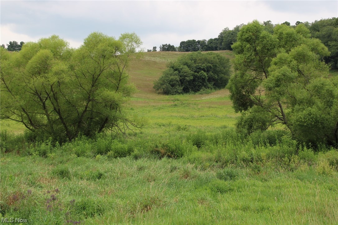 This property is located just one mile west of Atwood lake. It offers rolling hills and lots of wildlife. If your looking to build a home, have a small farm or just recreation you can do it here. The deer and turkey are abundant and public land is less than a mile away. Act now and have it for the upcoming hunting season. This land is 28.7 +/- acres. The final acreage will be determined by survey.