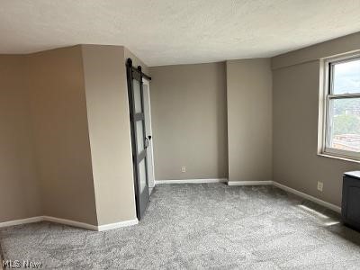 Lake House Condo - Residential